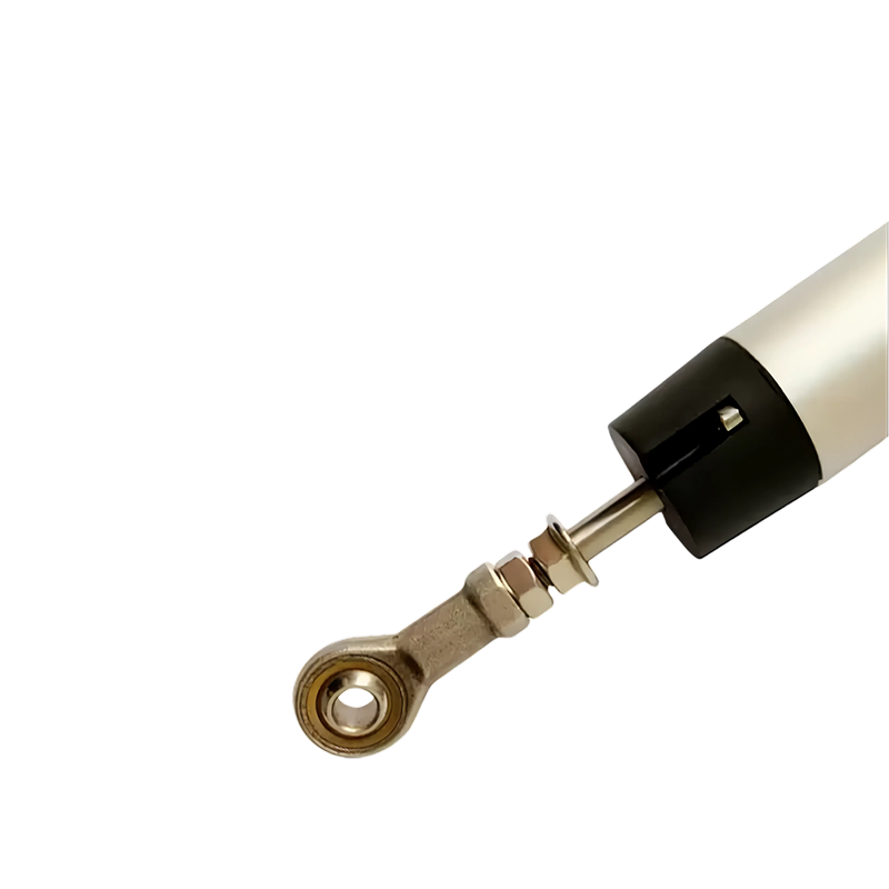 未命名图片_2025.02.18 (2).png