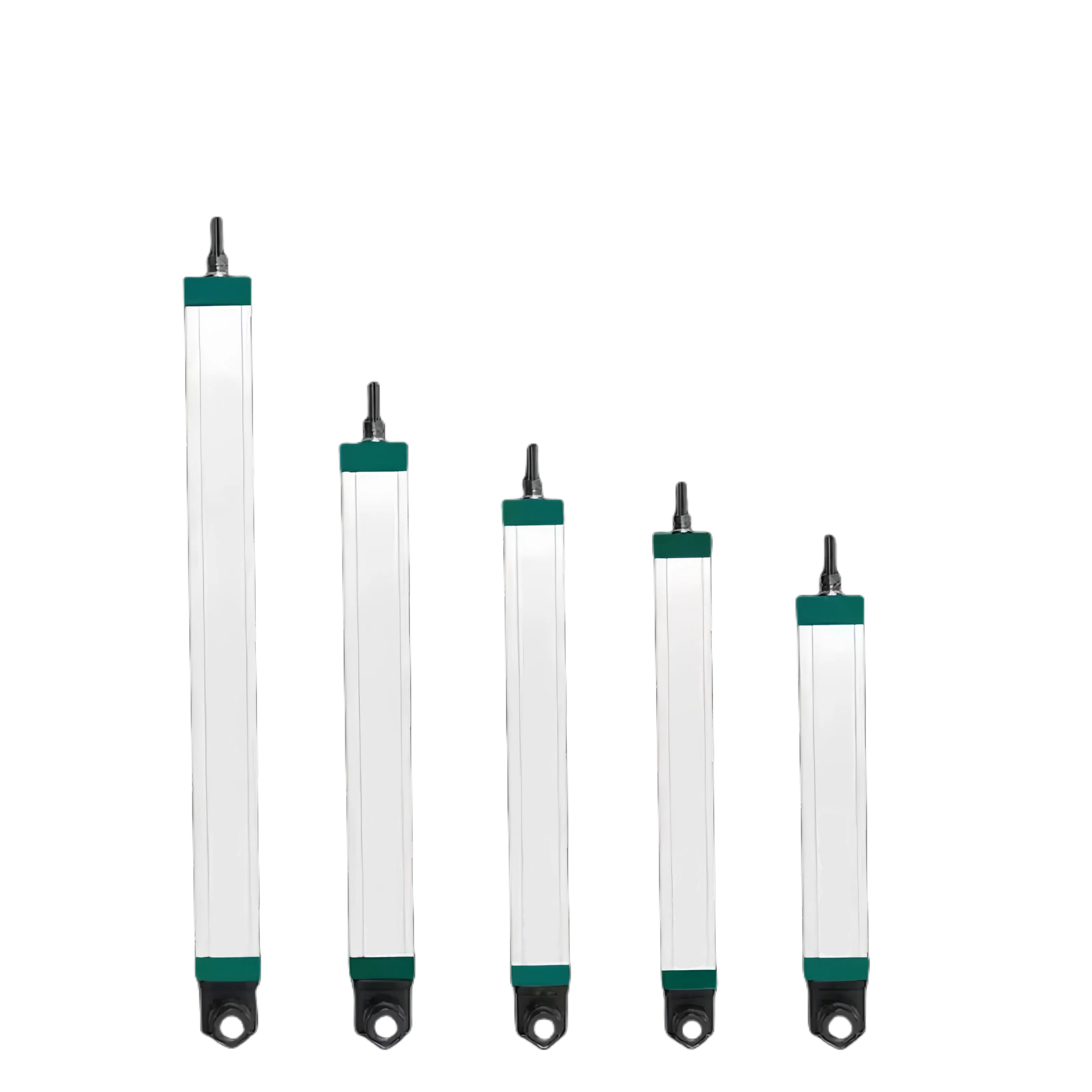 未命名图片_2025.02.18 (2).png